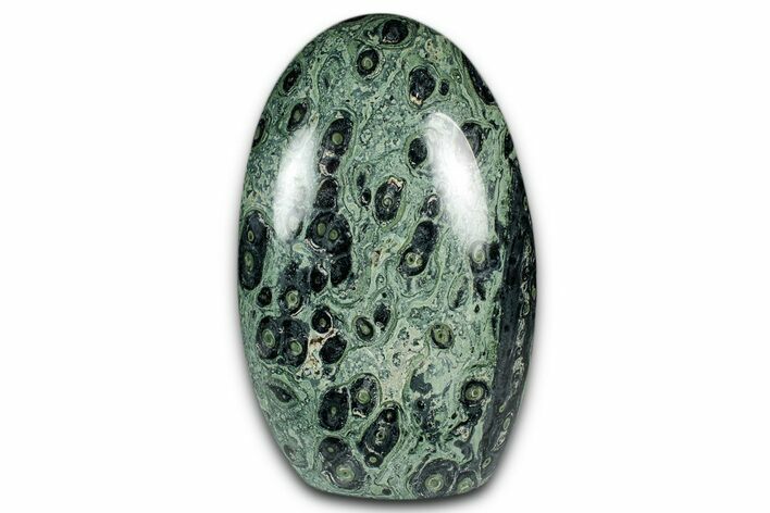 Free-Standing, Polished Kambaba Jasper - Madagascar #344007
